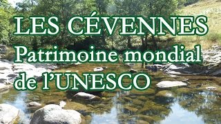 Les Cévennes classées au patrimoine mondial de lUnesco [upl. by Goff]