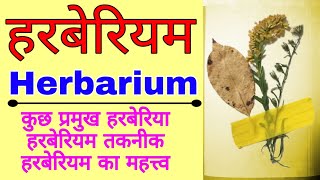 हरबेरीयम  All about Herbarium  How to make a simple Herbarium File  Role of herbarium in botany [upl. by Alcus]