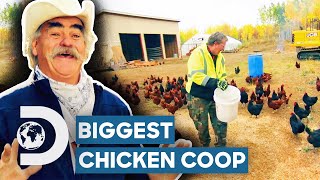 The Biggest Chicken Coop In Homestead History  Homestead Rescue [upl. by Atelra]