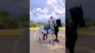 Hippotherapy Иппотерапия hippotherapy horseriding horsevideo horseride sporthorses [upl. by Ellerehc]