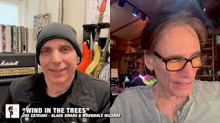 Joe Satriani and Steve Vai Discuss Favorite Song Of Each Others [upl. by Casteel]