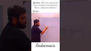 Endosmosis chemistry science chemistrybasics biology [upl. by Suraved]