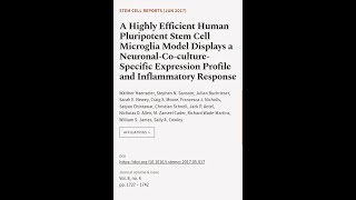 A Highly Efficient Human Pluripotent Stem Cell Microglia Model Displays a NeuronalCo  RTCLTV [upl. by Arita]