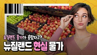 뉴질랜드 🍎슈퍼마켓 현실 물가 뉴질랜드 생활비 체감하기 최저시급 만구천원 [upl. by Lerraj]