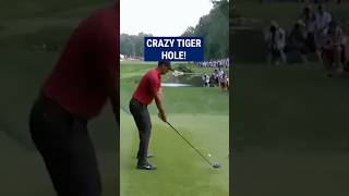 Tiger Woods INCREDIBLE recovery😱 [upl. by Agarhs]