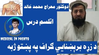 18 ECG In Pashto Electrocardiography Dr Miraj Mohammad Khalid د زړه برېښنايي اتلسم درس [upl. by Cos943]