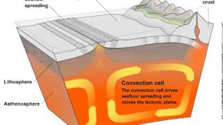 Convection Currents and Tectonic Plate Movement [upl. by Bay]