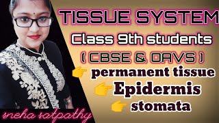 Tissue System।।science chapter 2 class 9।। class 9 science।। [upl. by Robins]