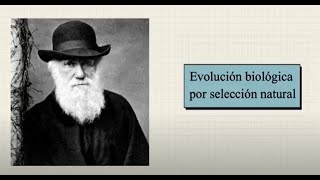 PSICOLOGÍA EVOLUCIONISTA Filogénesis de la mente humana [upl. by Ahusoj]