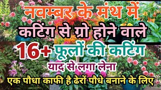 Nov के मंथ में याद से लगा लेना 16 फूलों की कटिंग  flowers plants grow by cutting in nov month [upl. by Eekram779]