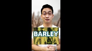 Barley Health Benefits and Risks  Dr Dex Macalintal [upl. by Jewel600]