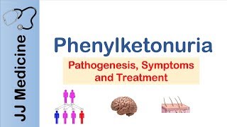 Phenylketonuria  Genetics Signs amp Symptoms Treatment [upl. by Acirrej]