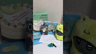 🍈플레이브 하민🐈‍⬛생일 키트  PLAVE HAMIN 2024 BIRTHDAY KIT plave hamin unboxing 플레이브 하민 언박싱 [upl. by Petrina]