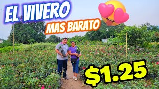 Encontramos el vivero mas barato en El Salvador  Vivero San Juan 🇸🇻 [upl. by Asusej]