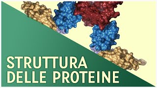 Struttura delle Proteine  Pillole di Scienza [upl. by Eleonore]