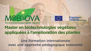 MaBioVa Master en biotechnologies végétales appliquées à l’amélioration des plantes [upl. by Talie642]