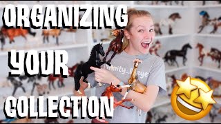 HOW TO ORGANIZE YOUR BREYER COLLECTION [upl. by Maria]