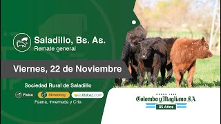 20241122 Saladillo [upl. by Boru]