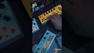 testing critter amp guitari organelle m pocket piano kaleidoloop bolsa bass [upl. by Notsew]