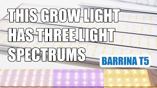 This Grow Light Has THREE Spectrums Barrina T5 Grow Lights [upl. by Aihsele]