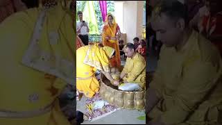 Haldi Celebration haldi songs  wedding celebration wedding Song [upl. by Yrrek]