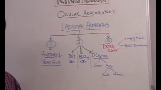 Lecture 1 Lacrimal System [upl. by Blatt]