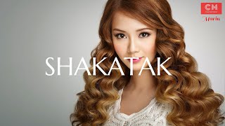 THE BEST OF SHAKATAK [upl. by Aikam]