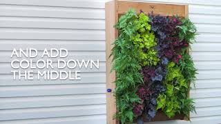 How to Create a Vertical Wall Garden [upl. by Toiboid]