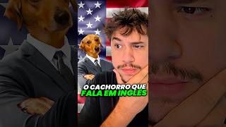 cachorro que fala inglês livedobrino humor MundinhoBrino [upl. by Yarled918]