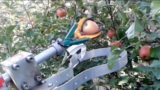 Automatic fruit picker demonstration by FF Robotics  IFTA 2017 [upl. by Ailet]