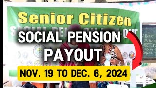 ✅1K MONTHLY SOCIAL PENSION PAYOUT SCHEDULE FOR SENIORS MULA NOV 19 TO DEC 6 2024 [upl. by Ayikur]