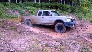 toyota tacoma in mud [upl. by Seamus980]