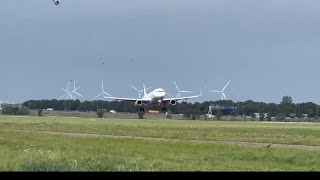 Vueling A320 landing with a lot of BIRDS  AmsterdamPlaneSpotting [upl. by Ahsaelat727]