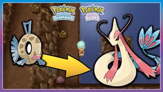 Pokémon BDSP  How To Get Feebas amp Evolve It [upl. by Laurianne]