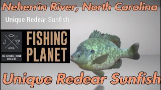 Fishing Planet  Unique Redear Sunfish  Neherrin River North Carolina [upl. by Sperling987]