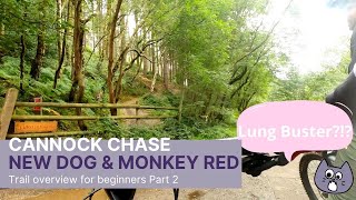 Cannock Chase Follow The Dog and Monkey Trails 2021 Pt2 [upl. by Otero]