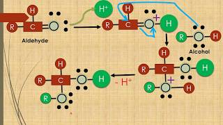 Hemiacetals formation Animation Alcohol  Aldehyde [upl. by Sidwel154]