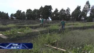 Allevamento di chiocciole in Sicilia dalle lumache un pregiato caviale apprezzato dagli chef [upl. by Melda]