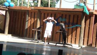 Show Marino Buin Zoo CHILE Full HD [upl. by Ishii]