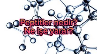 Peptitler Nedir Ne işe yarar [upl. by Aoh613]