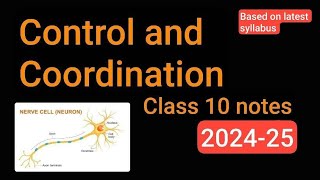 control and coordination class 10 notes biology [upl. by Dahs]