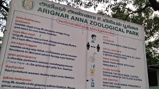 Arignar Anna Zoological Park Chennai [upl. by Nashom370]