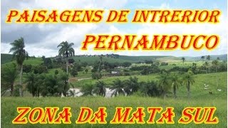 PAISAGEM DO INTERIOR MATA SUL PERNAMBUCO [upl. by Shurlocke347]