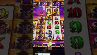 Buffalo ascension super stampede slot buffaloslot casino buffaloslotmachine slotmachine [upl. by Nnyleve104]