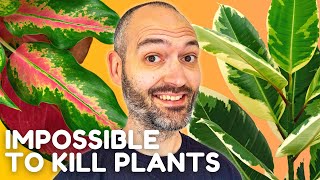 Absolute Top 20 EASIEST Plants to Look After [upl. by Negaet]