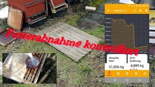 Futterabnahme kontrolliert bei den Bienen 5 Waben Völker 🐝🐝 [upl. by Gerfen]