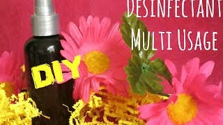 ✮ DIY ✮ Désinfectant Multi Usage  Caly Beauty [upl. by Remo481]