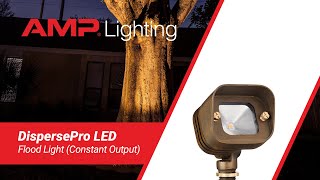 AMP® DispersePro LED Flood Light Constant Output [upl. by Elleirol]