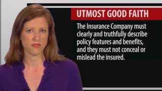 3 Legal Concepts of the Insurance Contract [upl. by Otilrac]