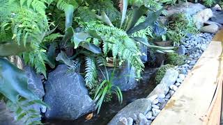 Pondless in Fernery [upl. by Noillid]